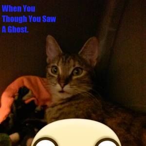 Meet your Posher, Christian